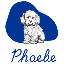 Pet Supplies By Phoebe