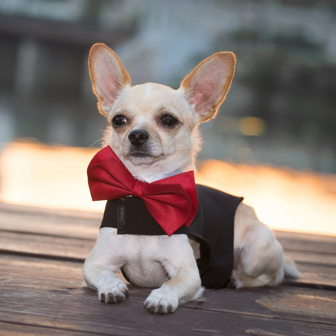 Clothes & Accessories