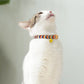 Cat Collar Set with Bell – Adjustable Kitten & Small Pet Necklace (2pcs)
