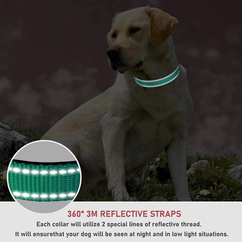 Reflective Dog Collar – Adjustable Nylon Pet Strap