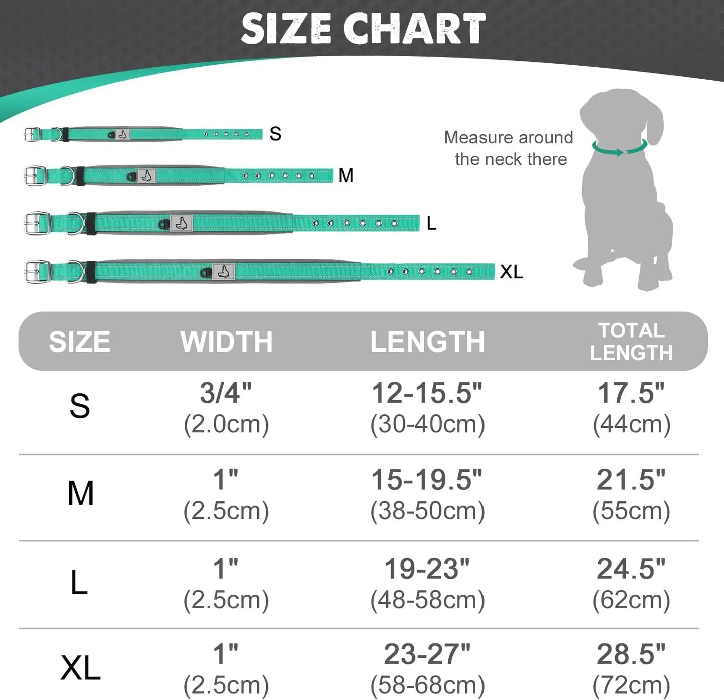 Padded Reflective Dog Collar – Adjustable Nylon Neoprene