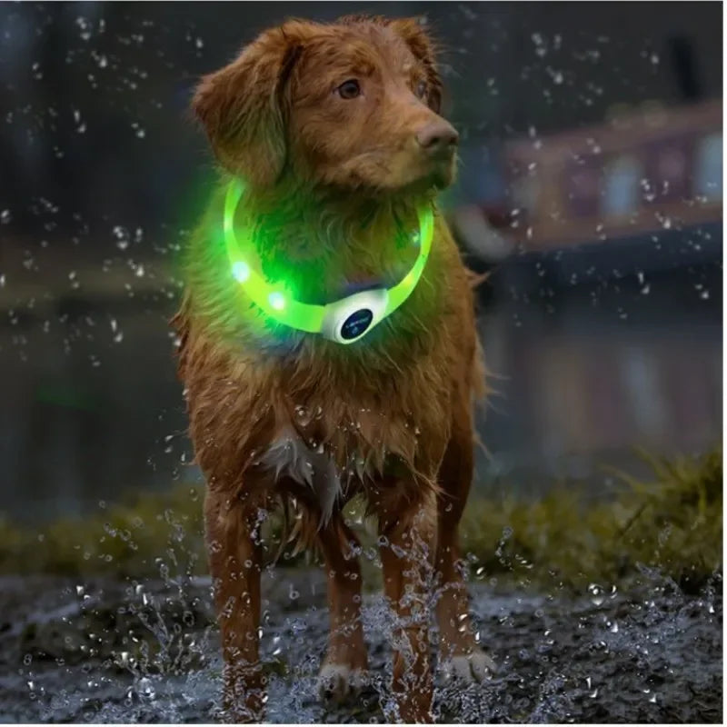 LED Dog Collar – USB Rechargeable Waterproof Light-Up Pet Collar