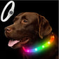 LED Dog Collar – USB Rechargeable Waterproof Light-Up Pet Collar