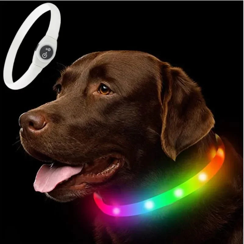 LED Dog Collar – USB Rechargeable Waterproof Light-Up Pet Collar