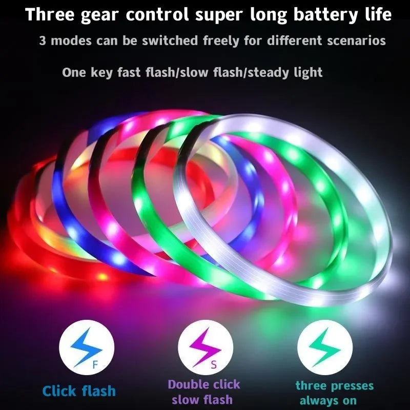 LED Dog Collar – USB Rechargeable Waterproof Light-Up Pet Collar