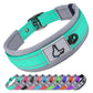 Padded Reflective Dog Collar – Adjustable Nylon Neoprene