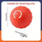 Smart Dog Toy Ball – Automatic Interactive USB Rechargeable