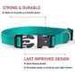 Reflective Dog Collar – Adjustable Nylon Pet Strap