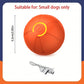 Smart Dog Toy Ball – Automatic Interactive USB Rechargeable