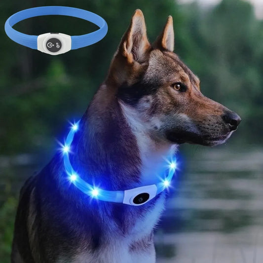LED Dog Collar – USB Rechargeable Waterproof Light-Up Pet Collar