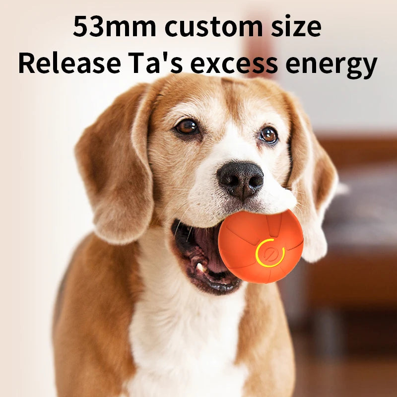 Smart Dog Toy Ball – Automatic Interactive USB Rechargeable