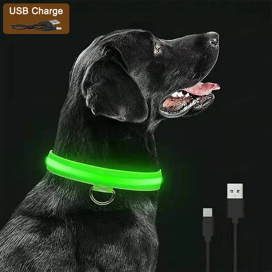 LED Dog Collar – USB Rechargeable 3-Mode Light-Up Pet Collar